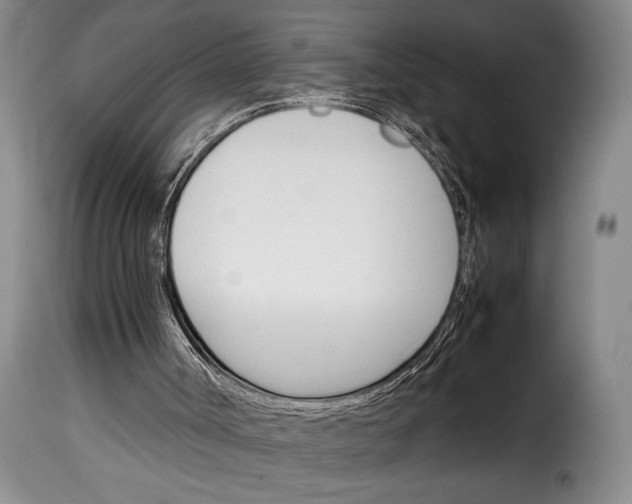 X0000114230002200911201121