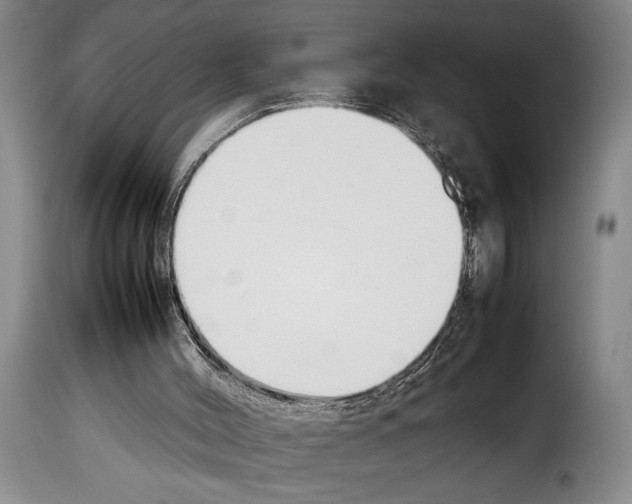 X0000114230004200911201121