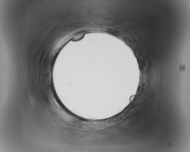 X0000114230005200911201121