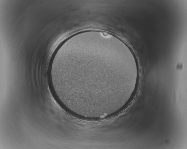 X0000114230007200911201121