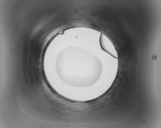 X0000114230008200911201121