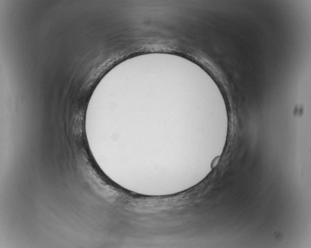 X0000114230009200911201121