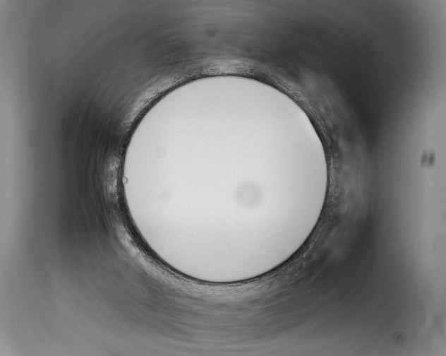 X0000114230010200911201121