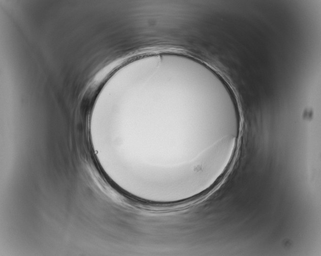 X0000114230013200911201121