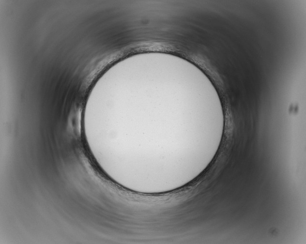 X0000114230014200911201121