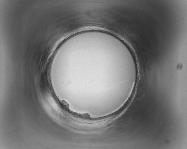X0000114230015200911201121
