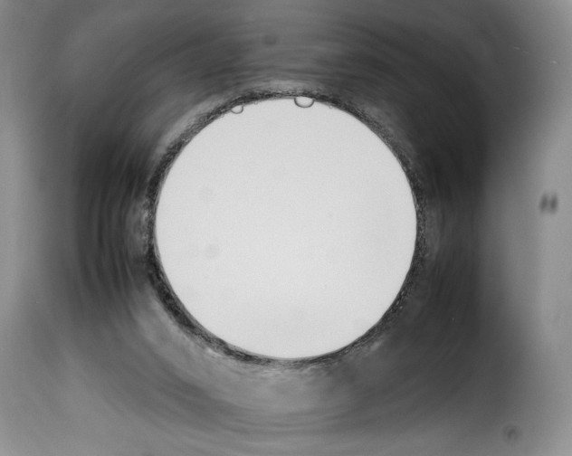 X0000114230016200911201121