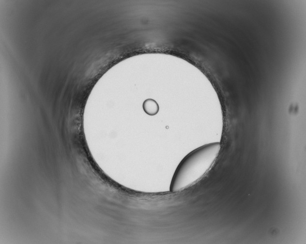 X0000114230017200911201121
