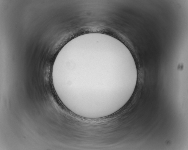 X0000114230018200911201121