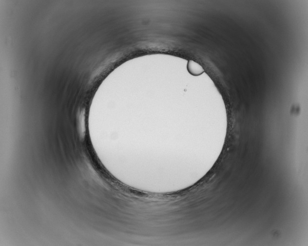X0000114230020200911201121