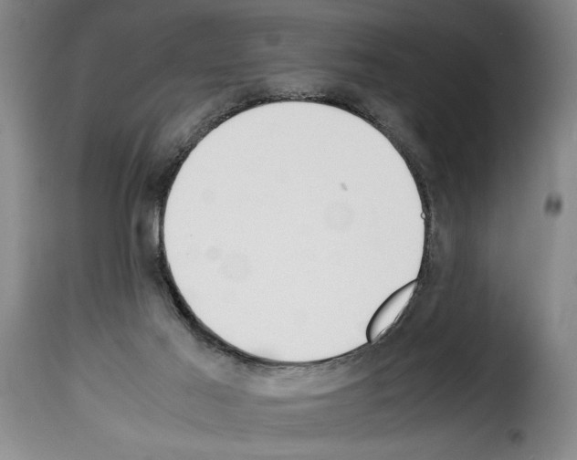 X0000114230021200911201120