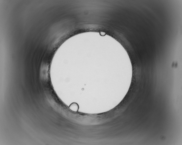 X0000114230024200911201120