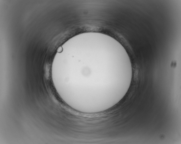 X0000114230026200911201120
