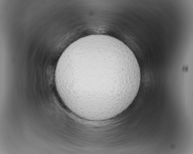 X0000114230030200911201120