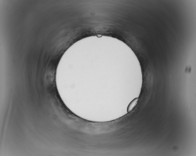 X0000114230033200911201120