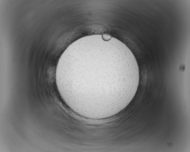 X0000114230034200911201120