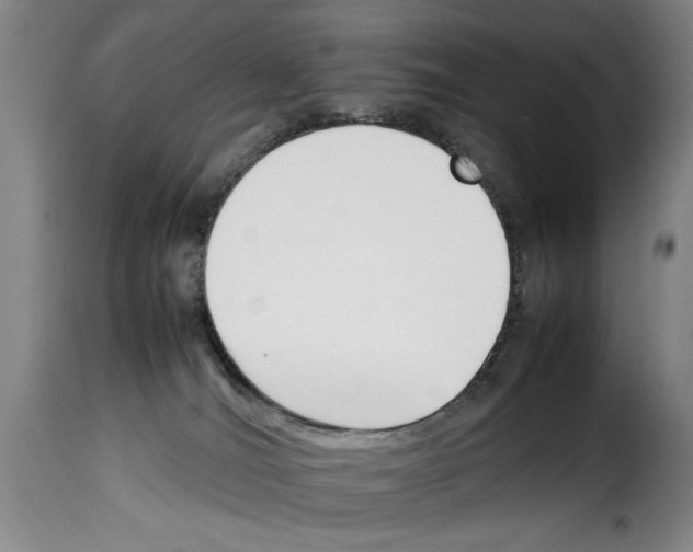 X0000114230036200911201120