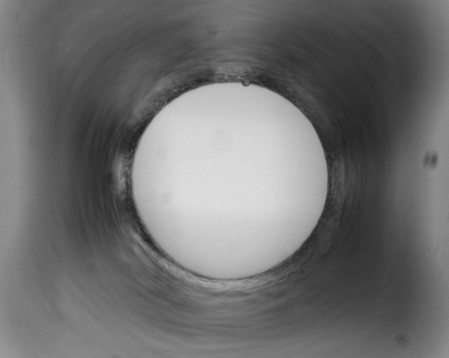 X0000114230038200911201120