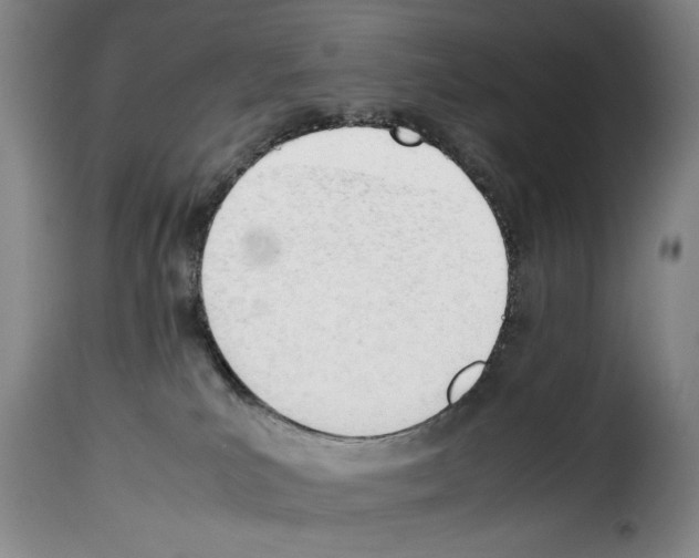 X0000114230039200911201120