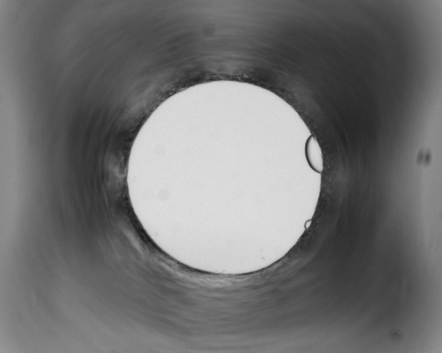 X0000114230040200911201120