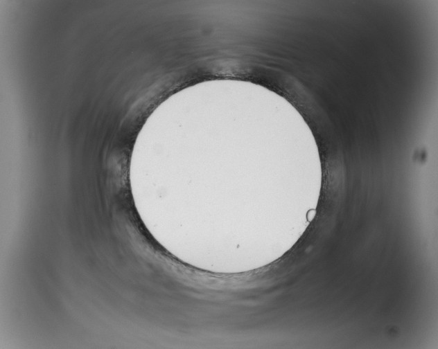 X0000114230043200911201120