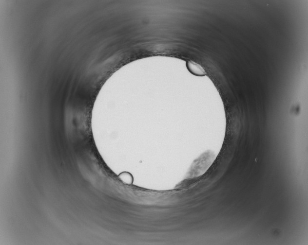 X0000114230044200911201120