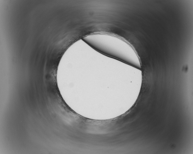 X0000114230045200911201120