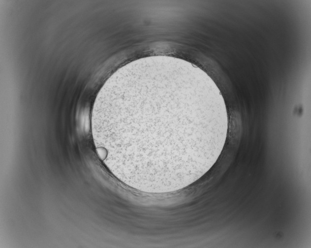 X0000114230046200911201120
