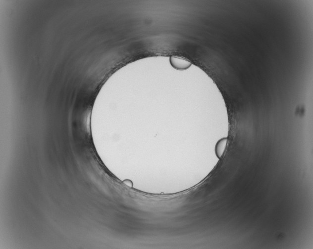 X0000114230047200911201120