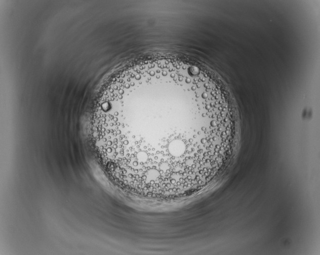 X0000114230048200911201120