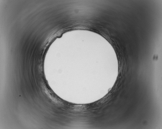 X0000114230050200911201119