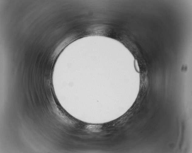 X0000114230051200911201119