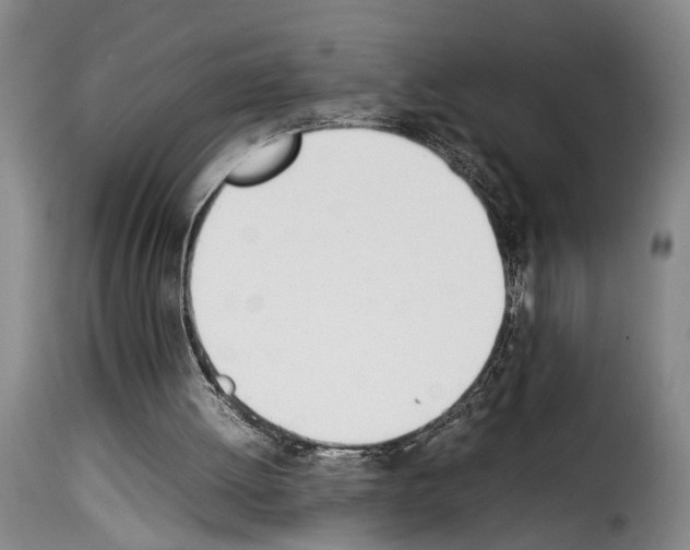 X0000114230052200911201119