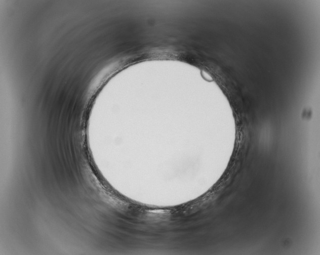 X0000114230053200911201120