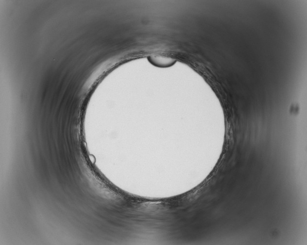 X0000114230054200911201120