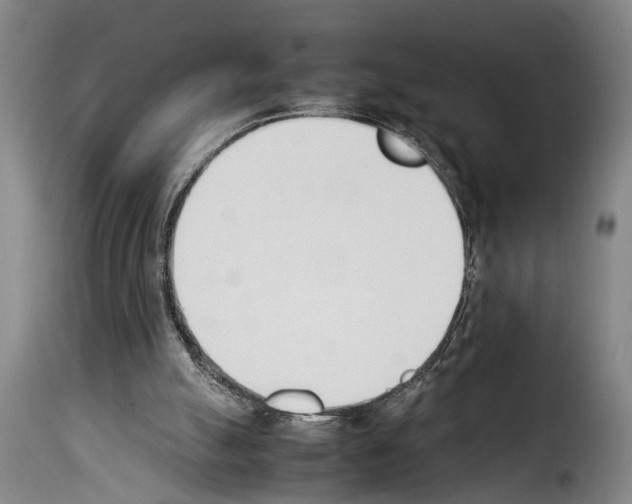 X0000114230055200911201120