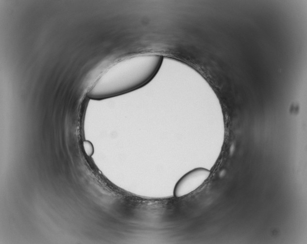 X0000114230056200911201120