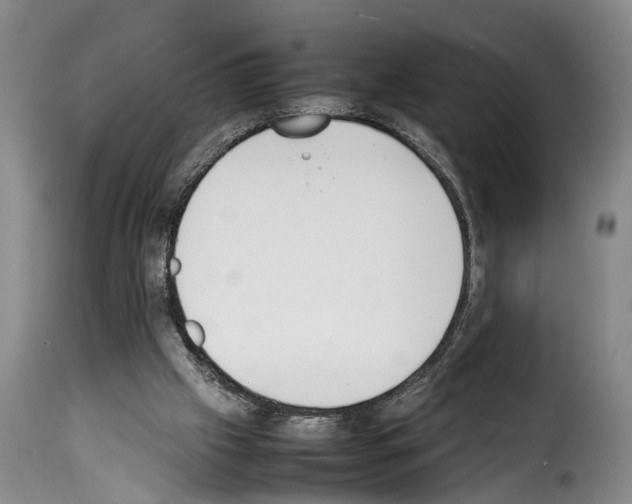 X0000114230057200911201120