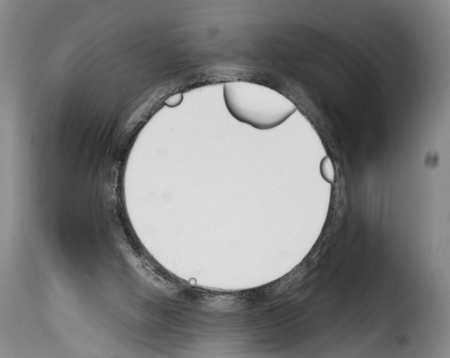 X0000114230058200911201120