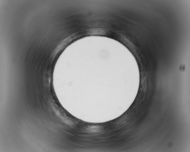 X0000114230059200911201120