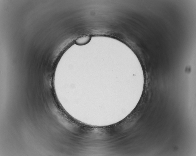 X0000114230060200911201120