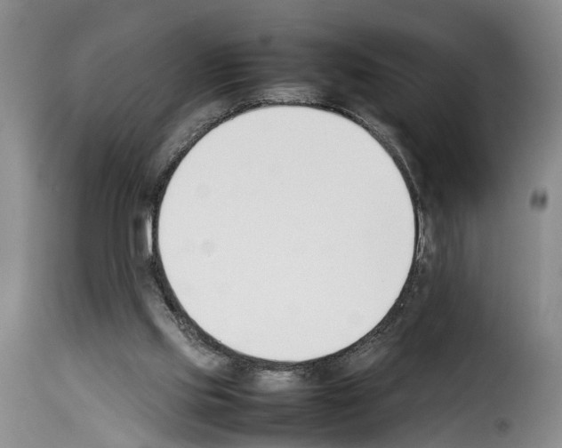 X0000114230061200911201120