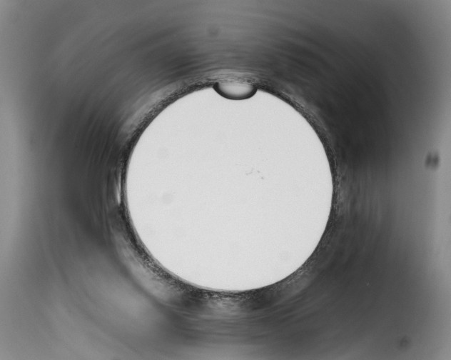 X0000114230062200911201120