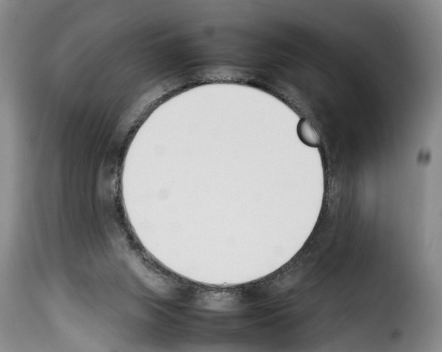 X0000114230063200911201120