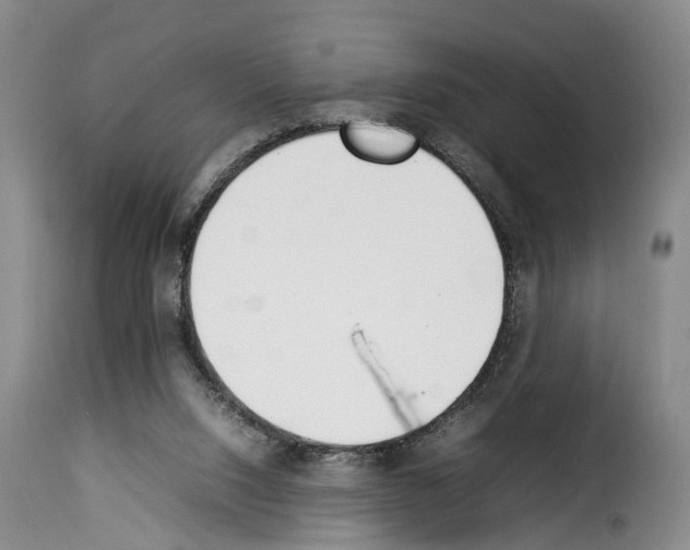 X0000114230064200911201120