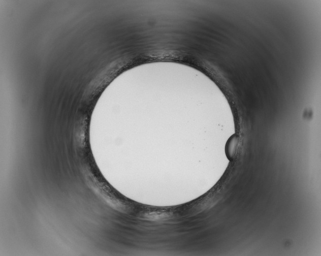 X0000114230065200911201120