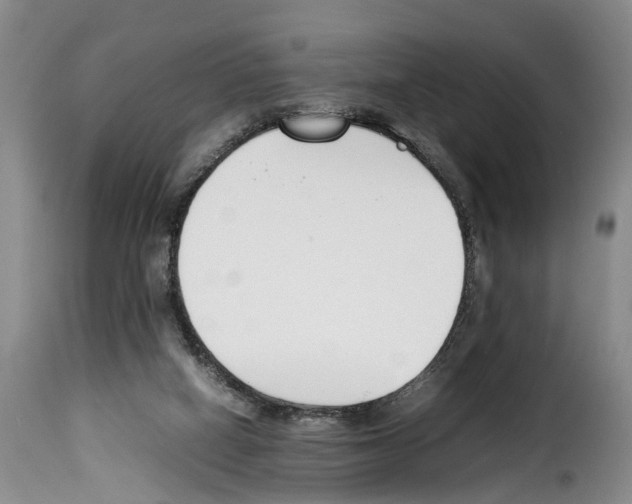 X0000114230066200911201120