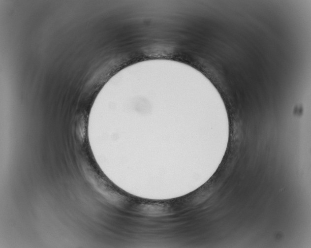 X0000114230069200911201120
