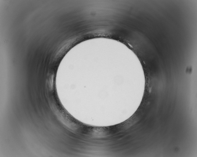 X0000114230070200911201120