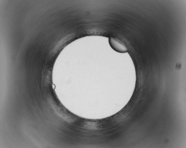 X0000114230071200911201120